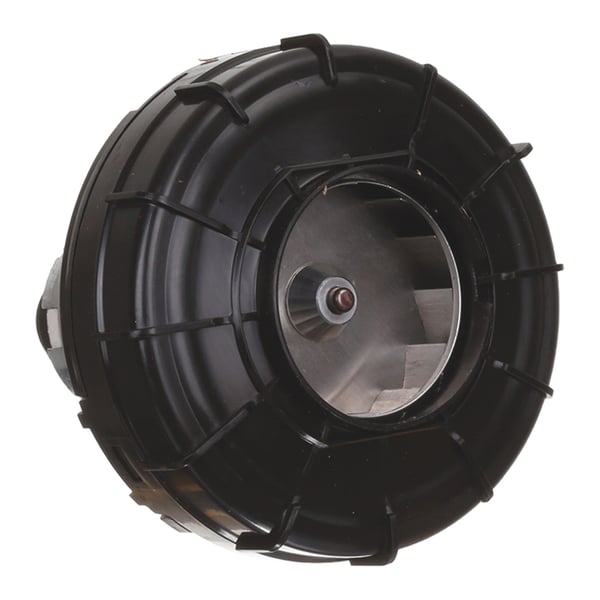 Blower motor