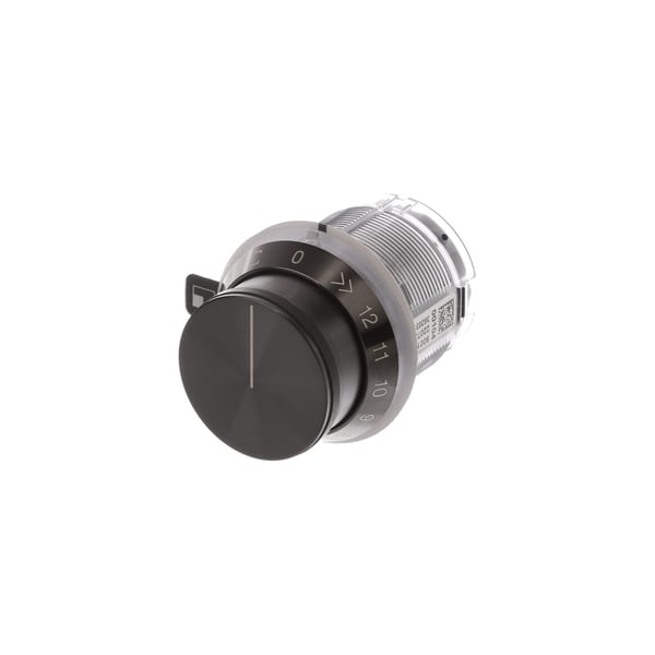 Rotary knob
