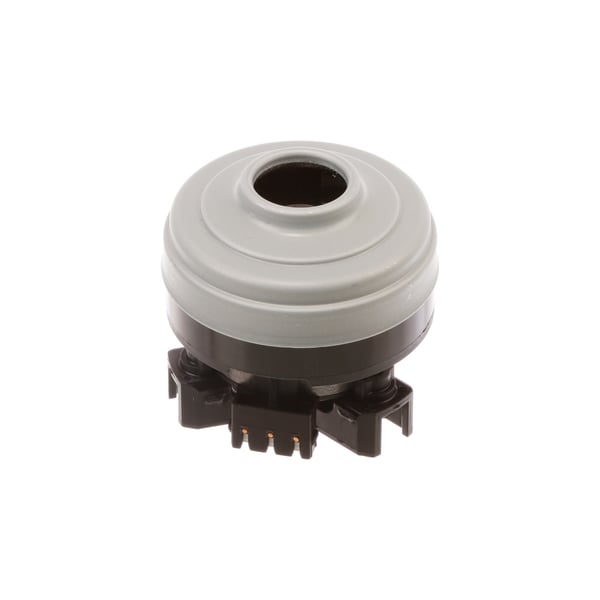 Blower motor