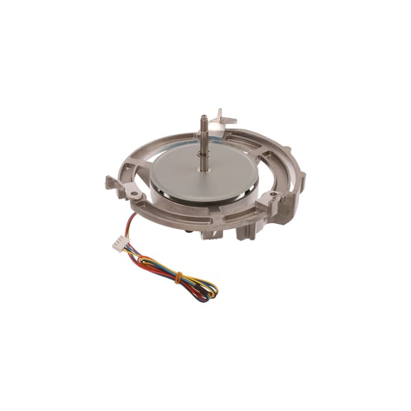 Blower motor