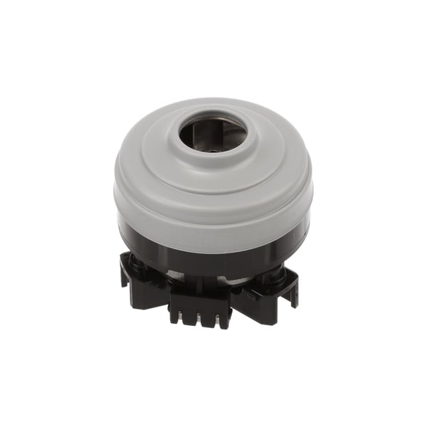 Blower motor