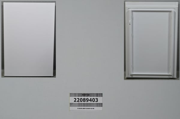R Door Assy/252GK-V (S.W)