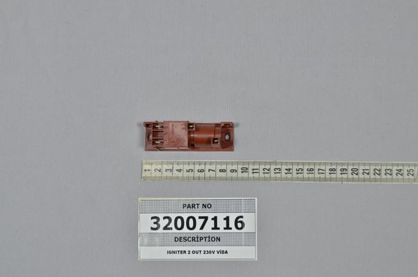Igniter 2 Out 230V Vida