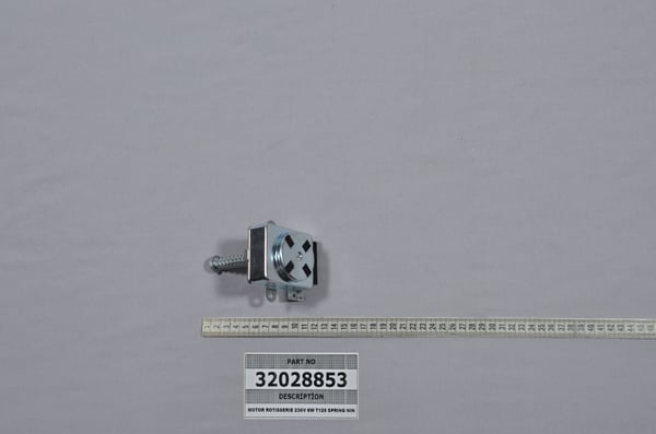 Motor Rotisserie 230V 6W T125 Spring N