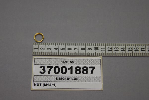 Nut (M12*1)