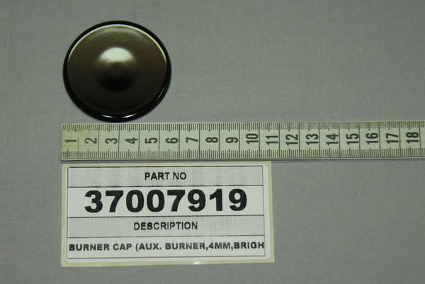 Burner Cap Aux. Burner/Flt/Bri/Sab