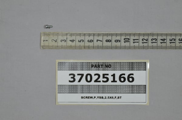 Screw,P,Ysb,2.5X6,F,St,A3B