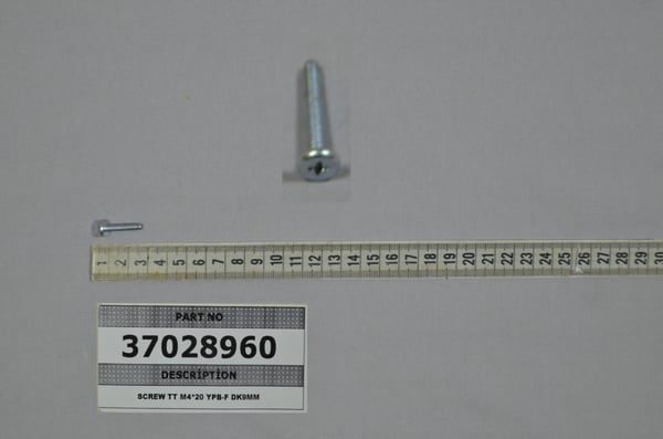 Screw Tt M4*20 Ypb-F DK9MM