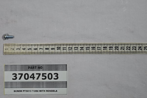 Screw PT5X13 Torx with Rondela