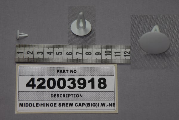 Middle/Hinge Srew Cap (Big) I.W.-New