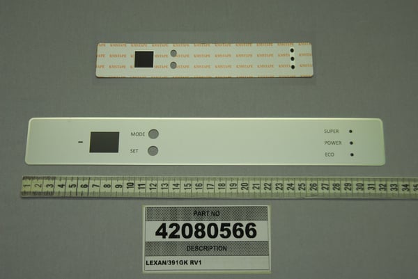 Lexan/391GK RV1