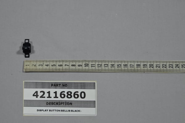 Display Button/Bellis/Black/-