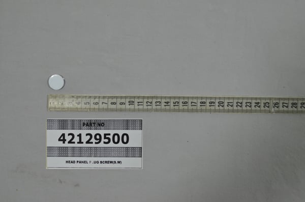 Head Panel Plug Screw (S.W)