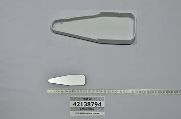 Hinge Cover 2451 (Bnd Painted)