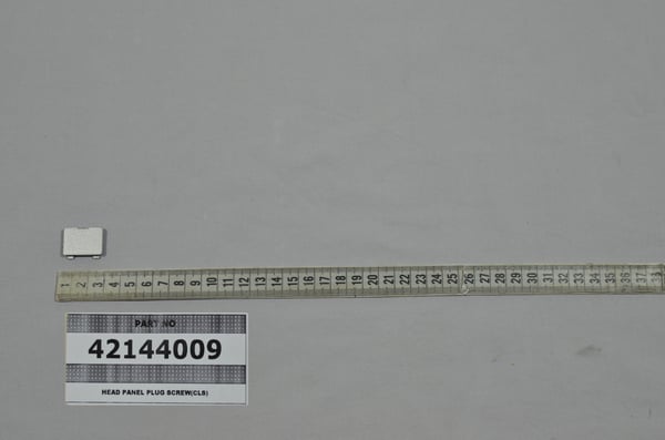 Head Panel Plug Screw (Cls)