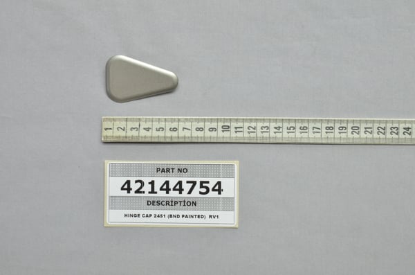 Hinge Cap 2451 (Bnd Painted) RV1