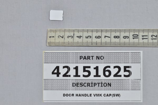 Door Handle Vmk Cap (Sw)