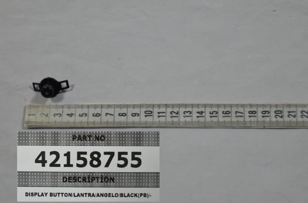Display Button/Lantra/Angelo/Black (Pb)/-
