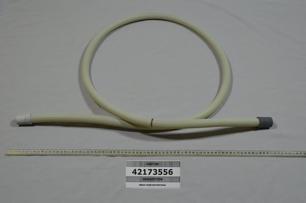 Drain Hose/Antisiphonage