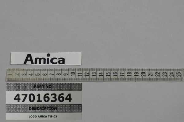 Logo Amica Tip-03
