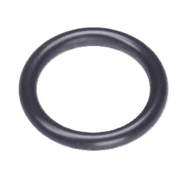 O-ring