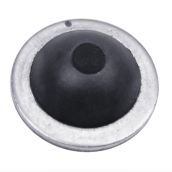 Magnet