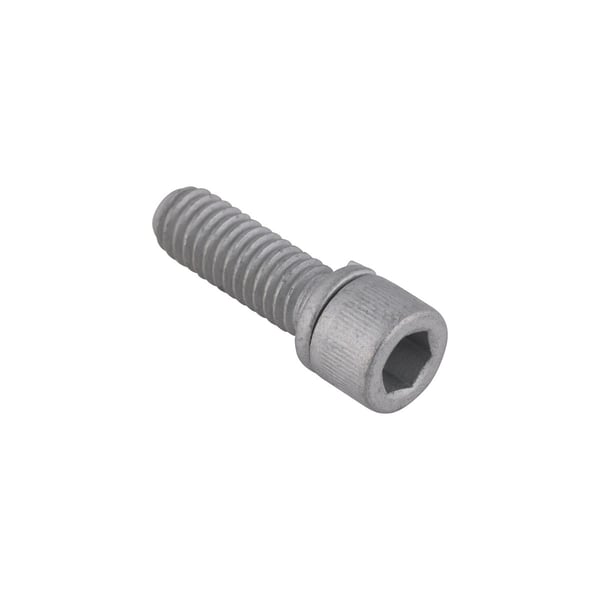 Screw