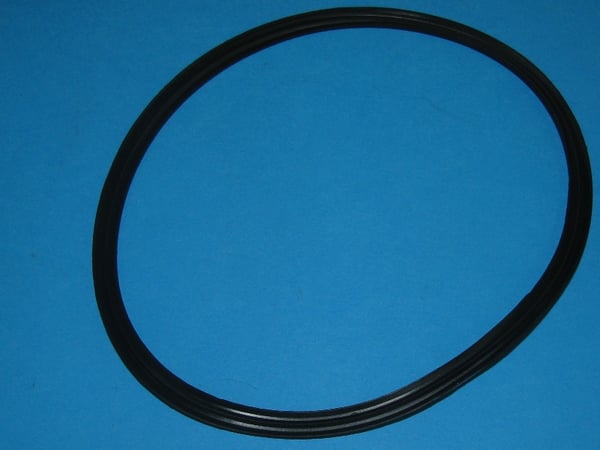 Well Gasket