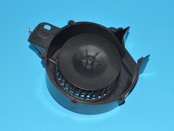 Fan