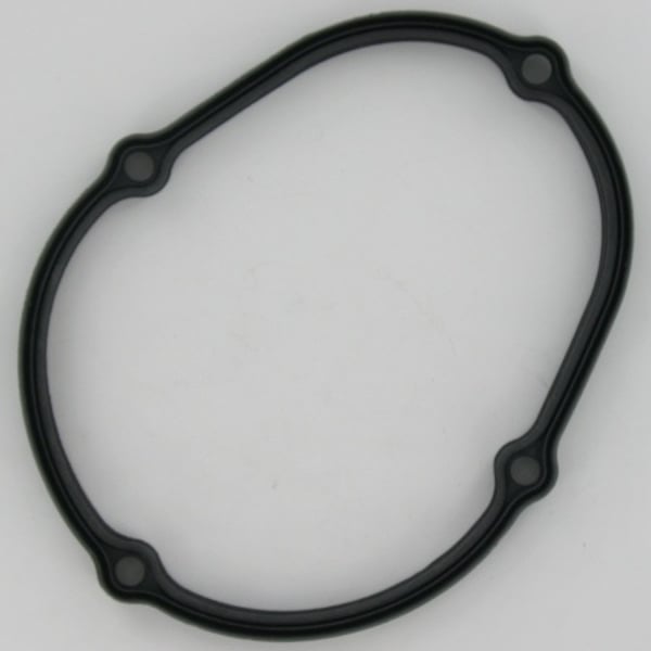 Drain Well Gasket