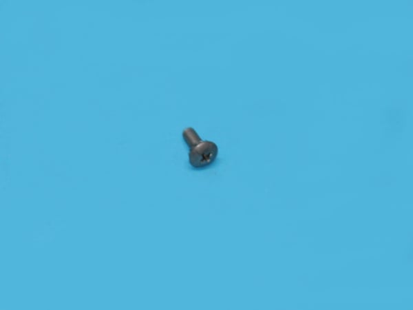 Screw