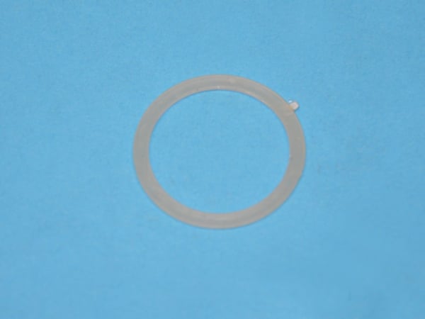 Nut Spring