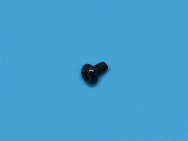 Screw M4X6-CPHS-T20-F-A2-NN-9005