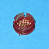 Gorenje Water Heaters Control Lamp Lens Rd - Image 1