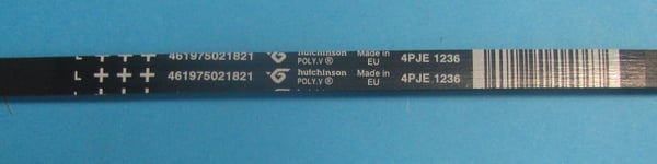 Belt