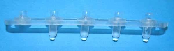 Phase Display C 000