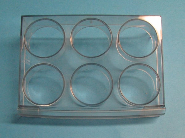 Insert Egg G 060