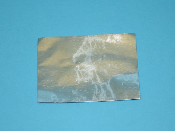 Lamp Shield