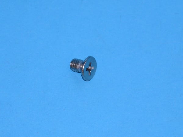 Screw