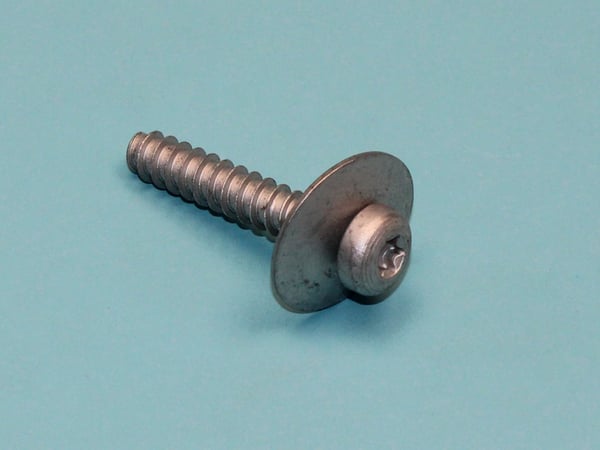 Screw PT100X55-A2F-TORX45 Assy