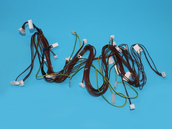 Wiring Harness BAS1L DW50 Assy