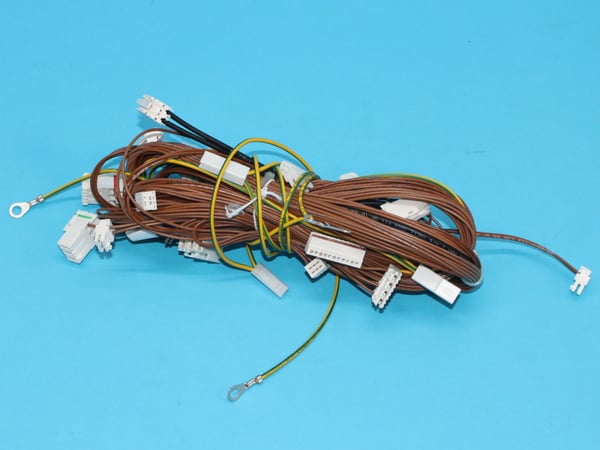 Wiring Harness BCSI1L DW50 Assy