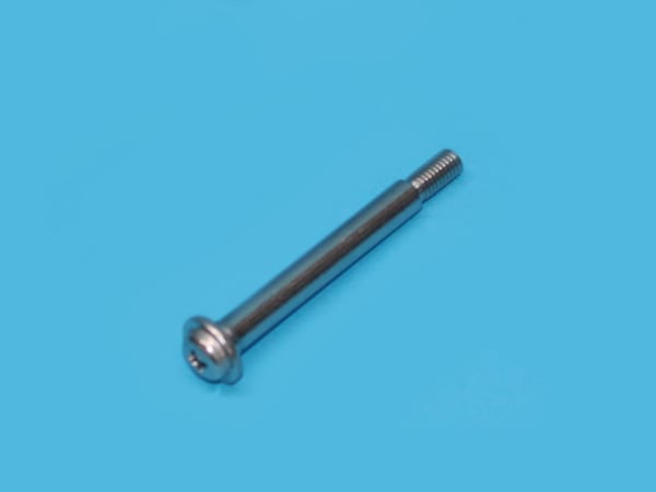 Screw