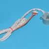 Hisense Air Conditioners Step Motor 12V DC - Image 1