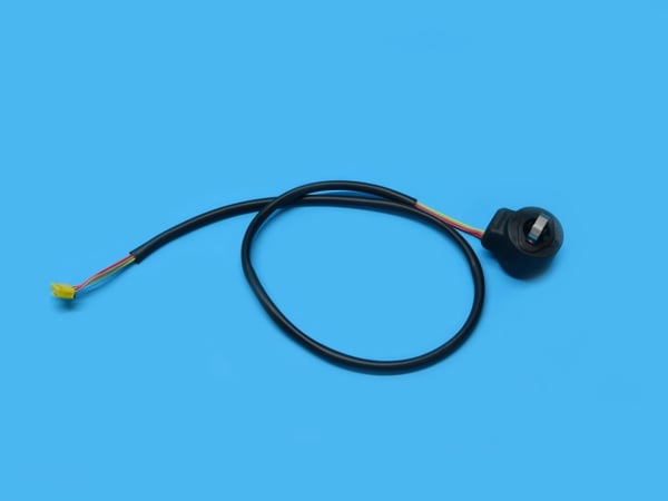 EEV Coil
