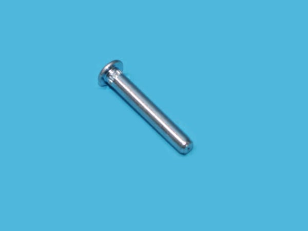 Screw