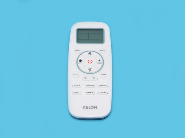 Remote Controller DG11L1-12 (E2/TZ)
