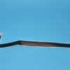 Hisense TV High Speed Cable FFC-L-51CP-505-Z1 - Image 1
