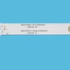 Hisense TV LED Light BAR\JBD315V1H-LB73-5-5\JK - Image 2