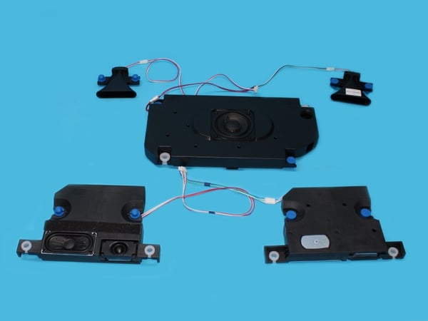 Speaker Assembly 55E80GEVS
